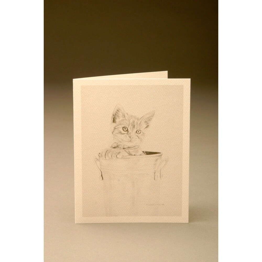 **Artisan Pencil Sketch Greeting Cards 5pk